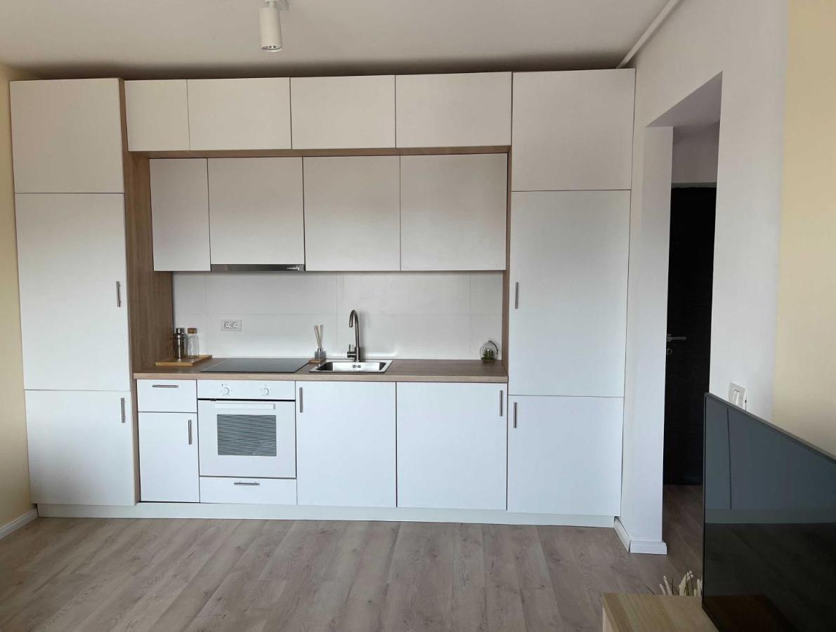 Oasis Luxury Apartment Near Presidential Palace Boekarest Buitenkant foto